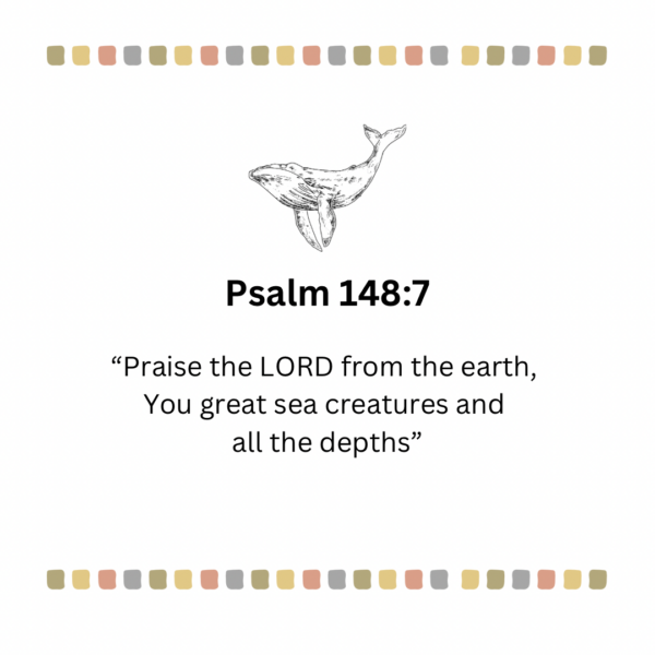 Psalm 148:7 Sea Creatures - Image 4